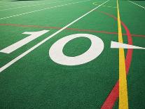 Ten Yard Maker on Football Field-David Papazian-Photographic Print