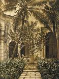 Tropical Palm Triptych III-David Parks-Art Print
