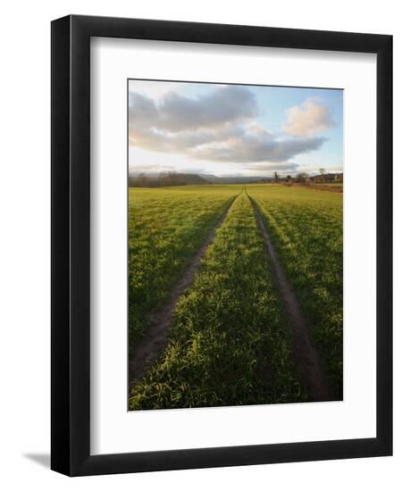 Premium Photographic Print, , large