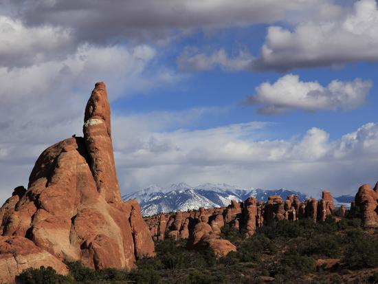 Premium Photographic Print, , large