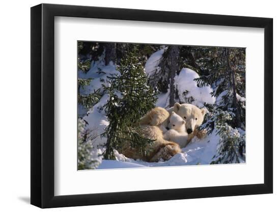 Premium Photographic Print, , large