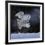 Gramercy Black