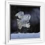 Gramercy White