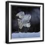 Black Frame
