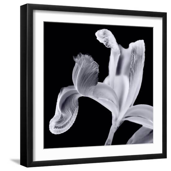 Photo, , large