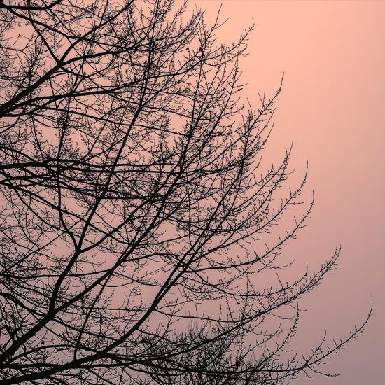 Photo, , large