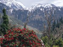 Imja Khola Valley, Nepal, Asia-David Poole-Photographic Print