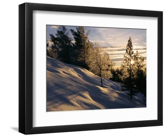 Photographic Print, , large