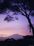 Sunrise, Mount Kilimanjaro, Amboseli National Park, Kenya, East Africa, Africa-David Poole-Photographic Print