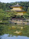 Temple of the Golden Pavilion, Kyoto, Japan-David Poole-Photographic Print