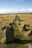 Prehistoric Ceremonial Lines of Stones-David-Photographic Print