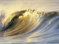 Inside Breaking Ocean Wave-David Pu'u-Stretched Canvas