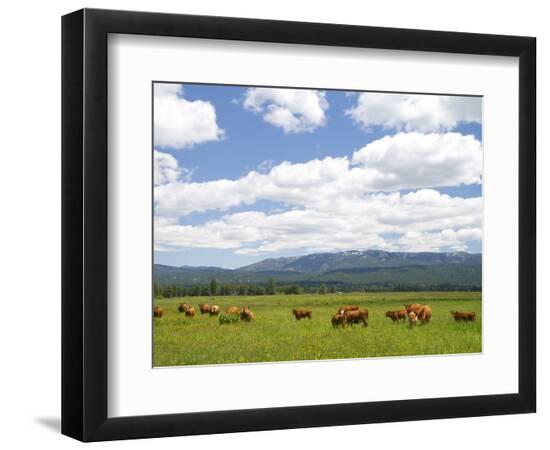 Premium Photographic Print, , large
