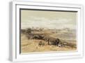 White Frame