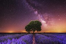 Milky Way over a lavender field in Guadalajara province, Spain, Europe-David Rocaberti-Stretched Canvas