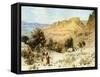 David 's camp at Ein Gedi where he hid - Bible-William Brassey Hole-Framed Stretched Canvas