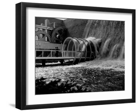 Photographic Print, , large