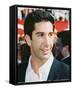 David Schwimmer-null-Framed Stretched Canvas