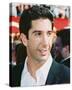 David Schwimmer-null-Stretched Canvas