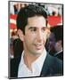 David Schwimmer-null-Mounted Photo