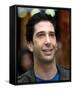 David Schwimmer-null-Framed Stretched Canvas