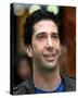 David Schwimmer-null-Stretched Canvas