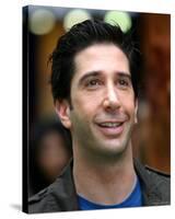 David Schwimmer-null-Stretched Canvas