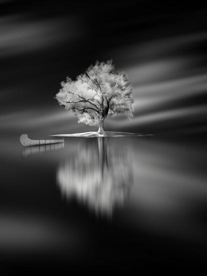 Premium Photographic Print, , large