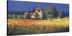 Summer Villa-David Short-Stretched Canvas