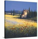 Tuscan Panorama, Poppies-David Short-Art Print