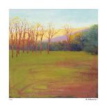 Pastoral Evening-David Skinner-Framed Giclee Print