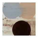 Terra Circles II-David Skinner-Giclee Print