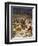 David spares the life of Saul - Bible-William Brassey Hole-Framed Giclee Print