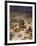 David spares the life of Saul - Bible-William Brassey Hole-Framed Giclee Print