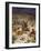 David spares the life of Saul - Bible-William Brassey Hole-Framed Giclee Print