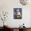 David Statue in Salon De Provence, Bouches Du Rhone, France, Europe-null-Framed Stretched Canvas displayed on a wall