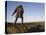 David Stirling Monument, Near Doune, Stirlingshire, Scotland, United Kingdom, Europe-Jean Brooks-Stretched Canvas