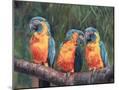 Wood Mount
