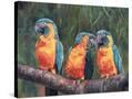Stretched Canvas