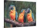 Stretched Canvas
