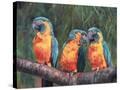 Stretched Canvas