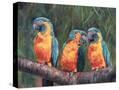 Stretched Canvas