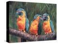 Stretched Canvas