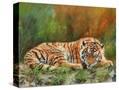 Stretched Canvas