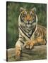 Stretched Canvas