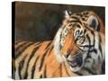Stretched Canvas