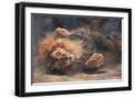 Black Frame