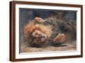 Brown Frame