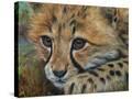 Stretched Canvas