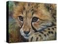 Stretched Canvas